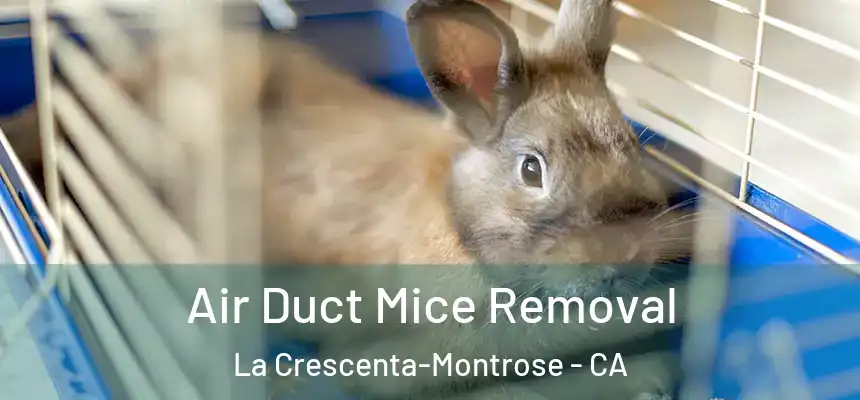 Air Duct Mice Removal La Crescenta-Montrose - CA