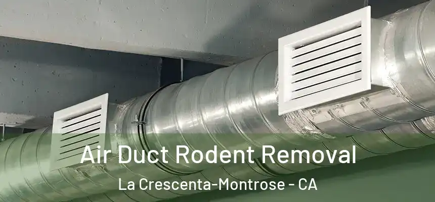 Air Duct Rodent Removal La Crescenta-Montrose - CA