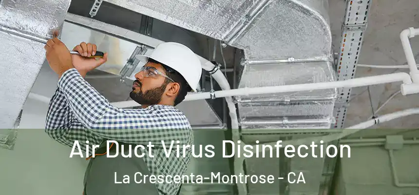 Air Duct Virus Disinfection La Crescenta-Montrose - CA