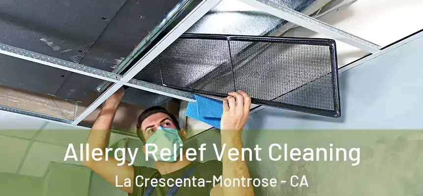 Allergy Relief Vent Cleaning La Crescenta-Montrose - CA
