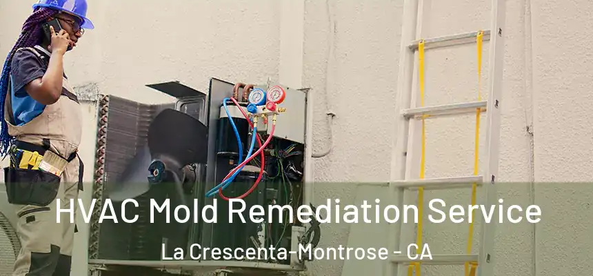 HVAC Mold Remediation Service La Crescenta-Montrose - CA