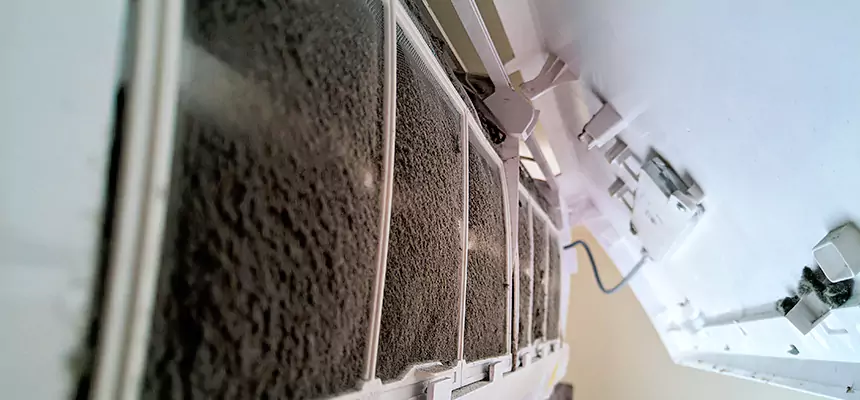 Preventive Air Duct Bacteria Removal in La Crescenta-Montrose