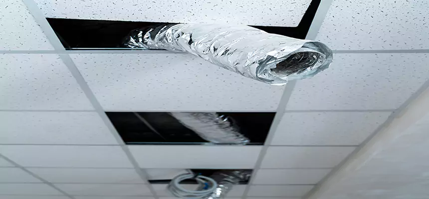 Our Air Duct Pet Hair Removal Services in La Crescenta-Montrose, CA