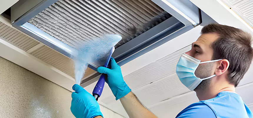 Proactive Dryer Vent & Auxiliary Duct Pollen Cleanup in La Crescenta-Montrose, CA