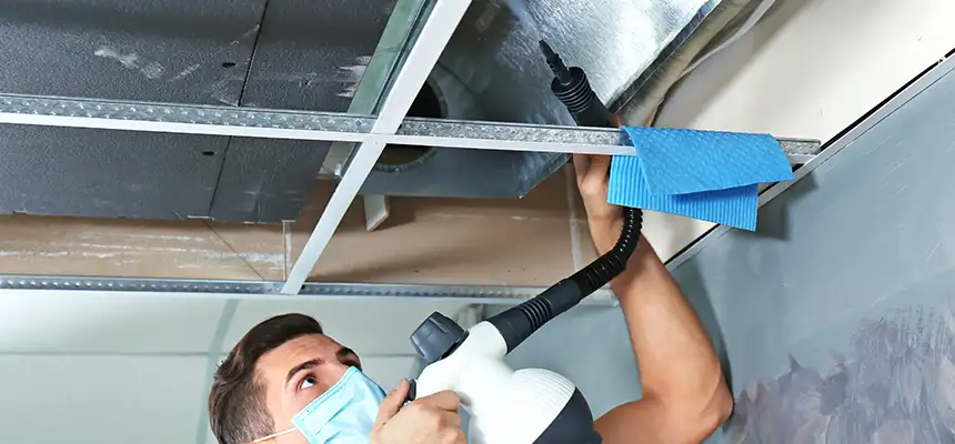 Our Air Duct Rodent Removal Services in La Crescenta-Montrose, CA
