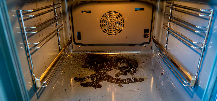 Our Dryer Vent Mold Cleaning Services in La Crescenta-Montrose, CA