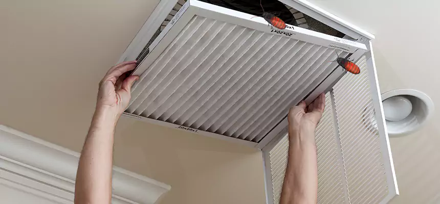 Our Insect Removal from Air Ducts Services in La Crescenta-Montrose, CA