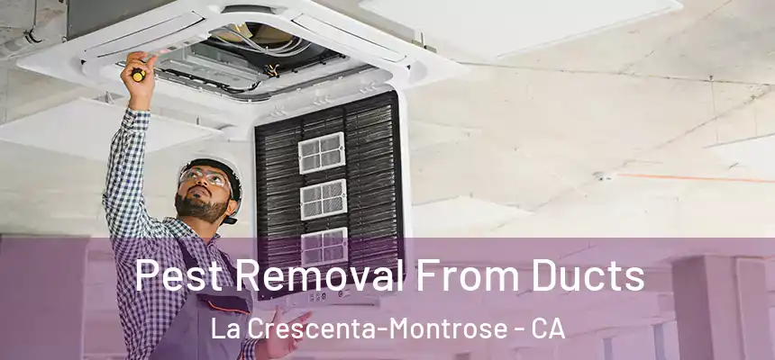 Pest Removal From Ducts La Crescenta-Montrose - CA