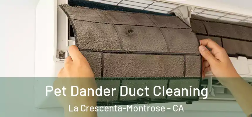 Pet Dander Duct Cleaning La Crescenta-Montrose - CA