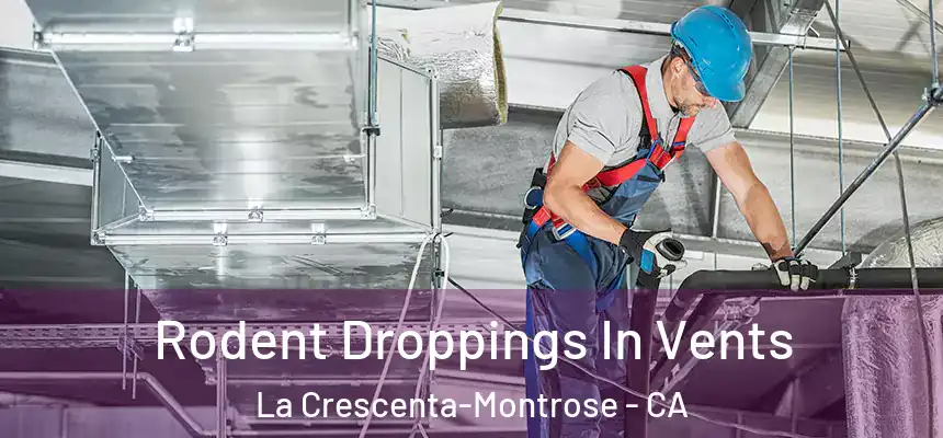 Rodent Droppings In Vents La Crescenta-Montrose - CA