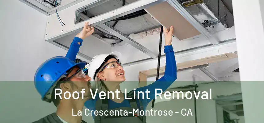 Roof Vent Lint Removal La Crescenta-Montrose - CA