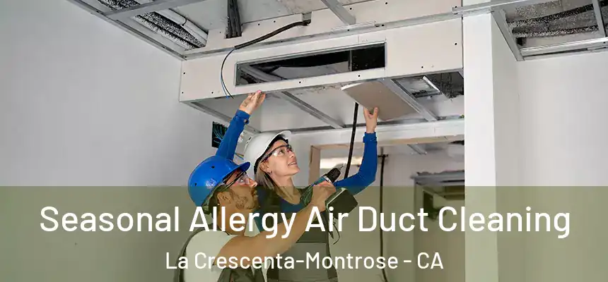  Seasonal Allergy Air Duct Cleaning La Crescenta-Montrose - CA