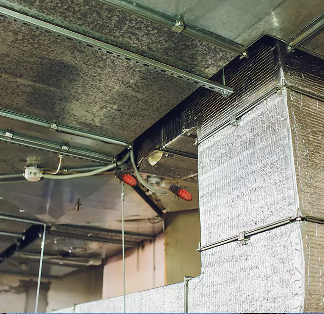 Why Homeowners & Businesses Trust Us in La Crescenta-Montrose, CA?