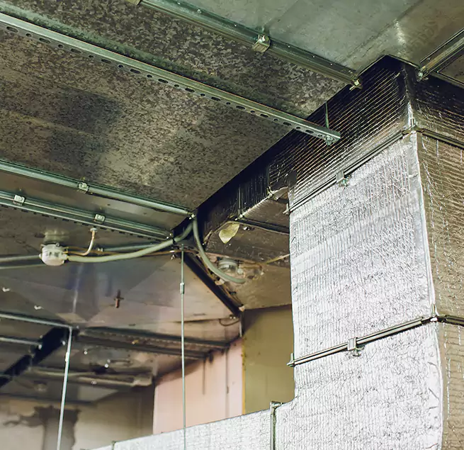 Why Homeowners & Businesses Trust Us in La Crescenta-Montrose, CA?